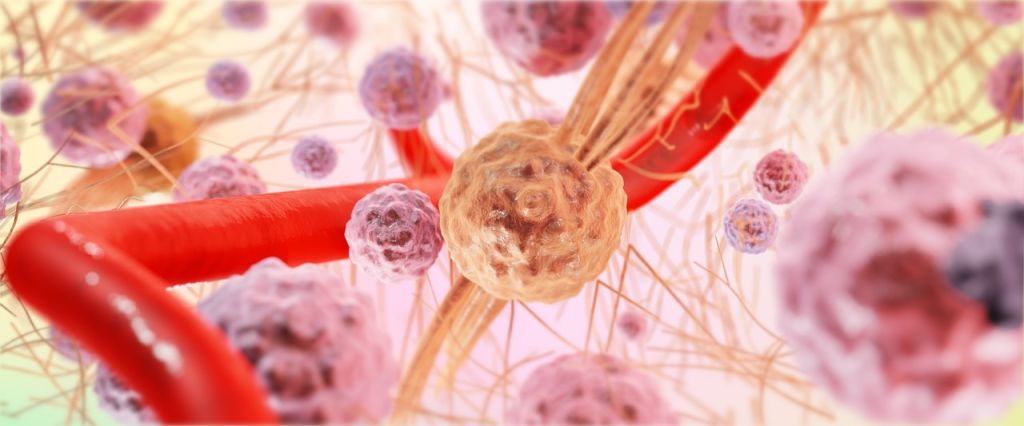 Many cells connected by extracellular matrix