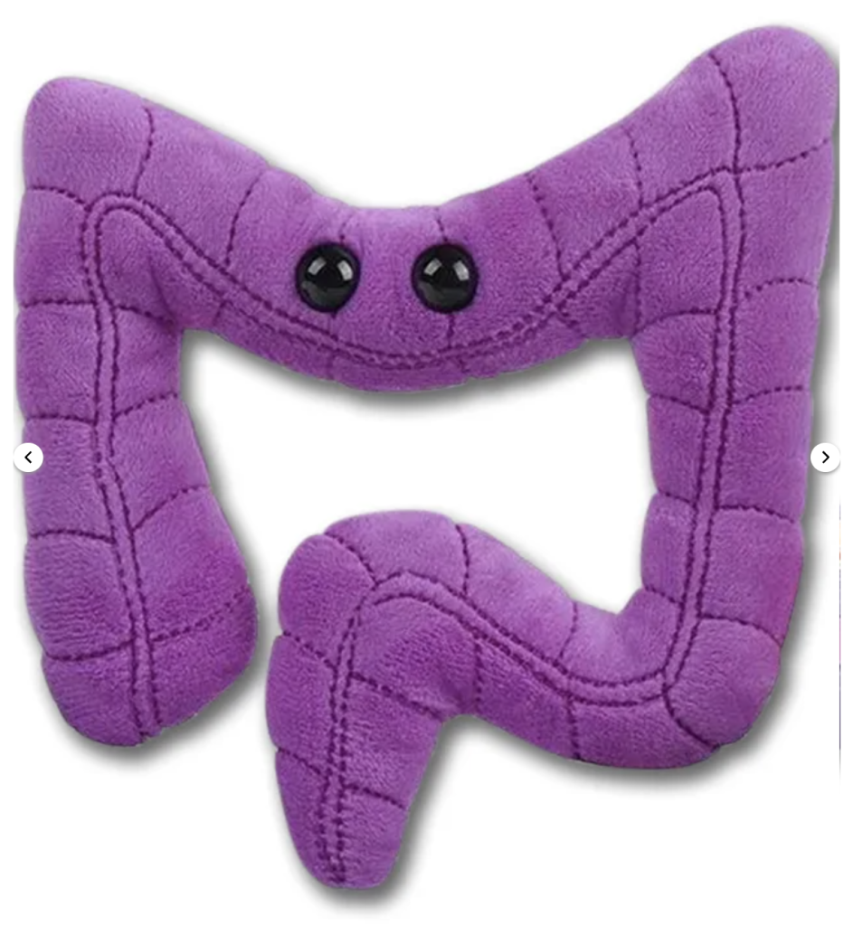 A purple plushie made to look like the large intestines—two vertical sides with a horizontal side connecting them and a small pocket off the right side for the rectum. The horizontal side has two black button eyes. 