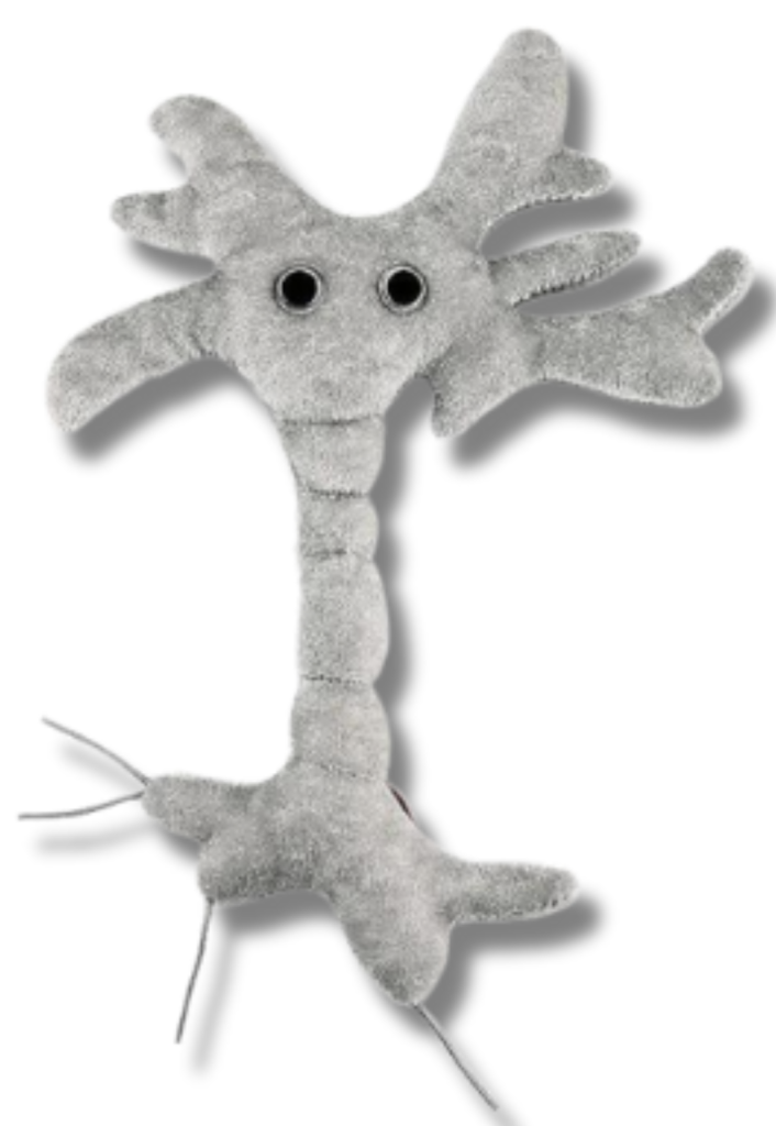 A light gray brain cell plushie, which consists of a straight vertical part. At the top of the vertical piece, there is a hexagonal piece with two button eyes. Thick strands emerge from the hexagon, looking a bit like hair. The bottom of the vertical piece has shorter strands sticking out, looking like little feet. 